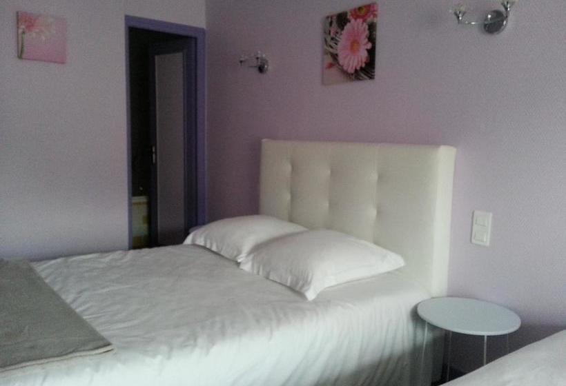 酒店 Hôtel Du Roy