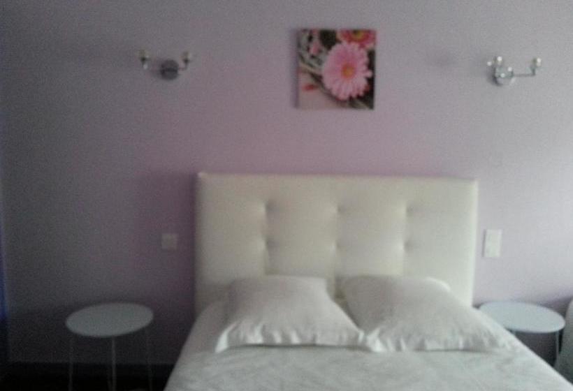 酒店 Hôtel Du Roy