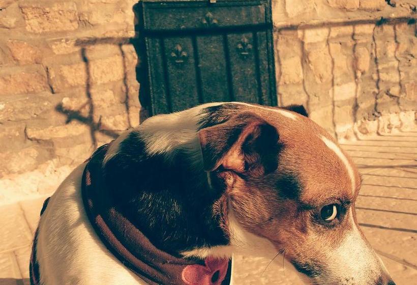 Отель Hôtel Le Sauvage