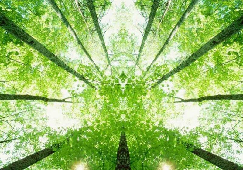 ホテル Ibis Budget Lille Ronchin  Stade Pierre Mauroy