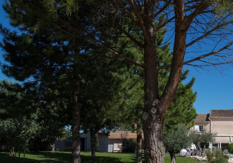 فندق Le Domaine Des Oliviers