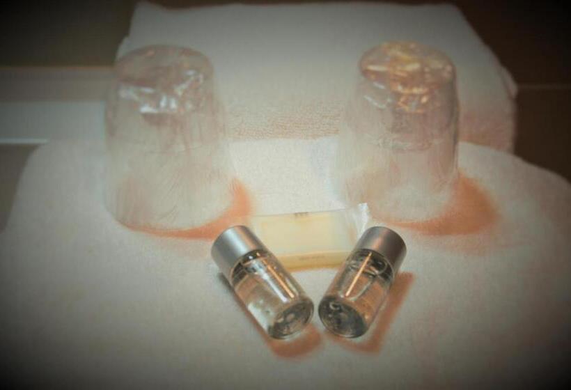 בית מלון כפרי Les Acacias