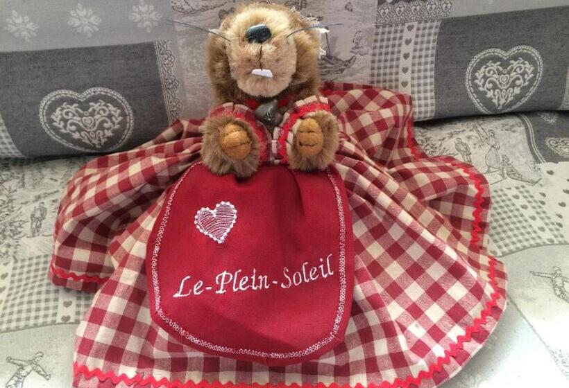 Отель Plein Soleil