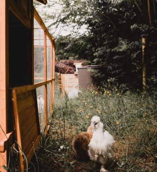 酒店 Restaurant La Musardiere