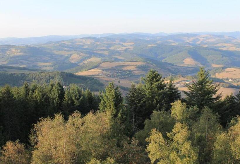 酒店 Restaurant Le Saint Clement