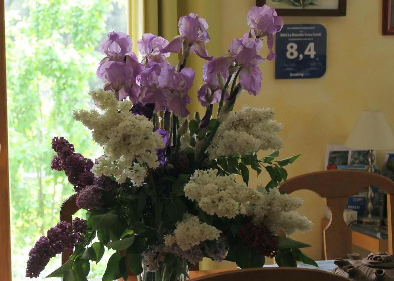 B&b La Borella Casa Conti