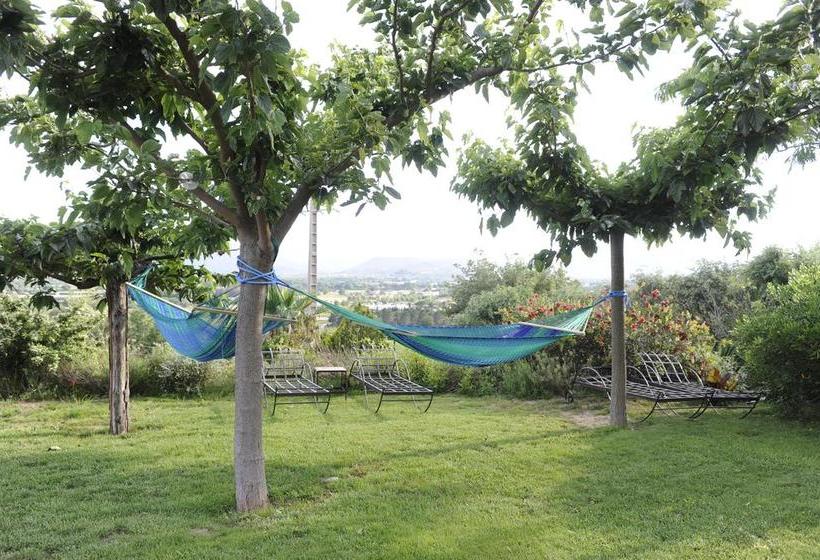 مبيت وإفطار Aloasis