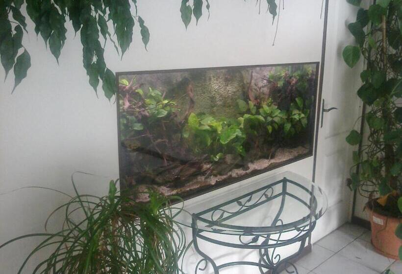 ベッドアンドブレックファースト Au Bois De Massier