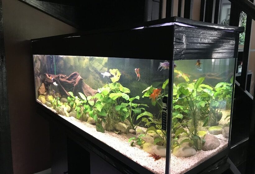 住宿加早餐 Au Bois De Massier