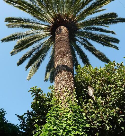 ベッドアンドブレックファースト Castel Enchanté