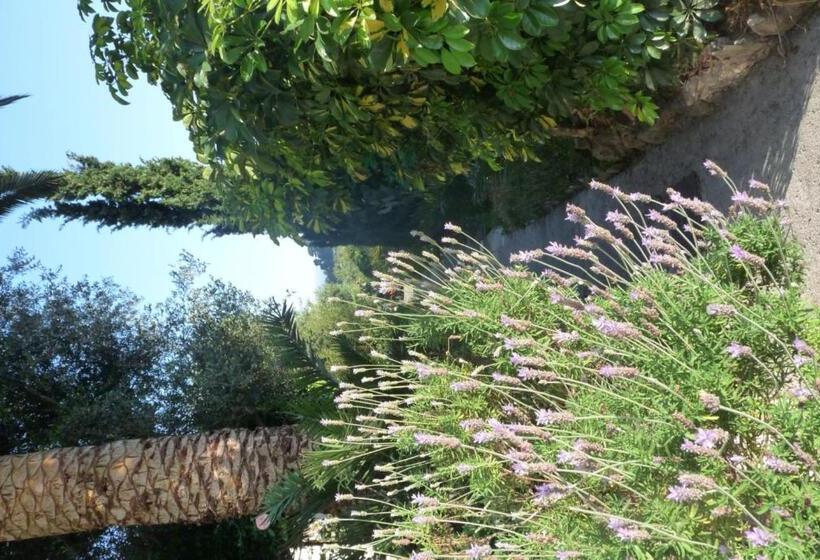 ベッドアンドブレックファースト Castel Enchanté