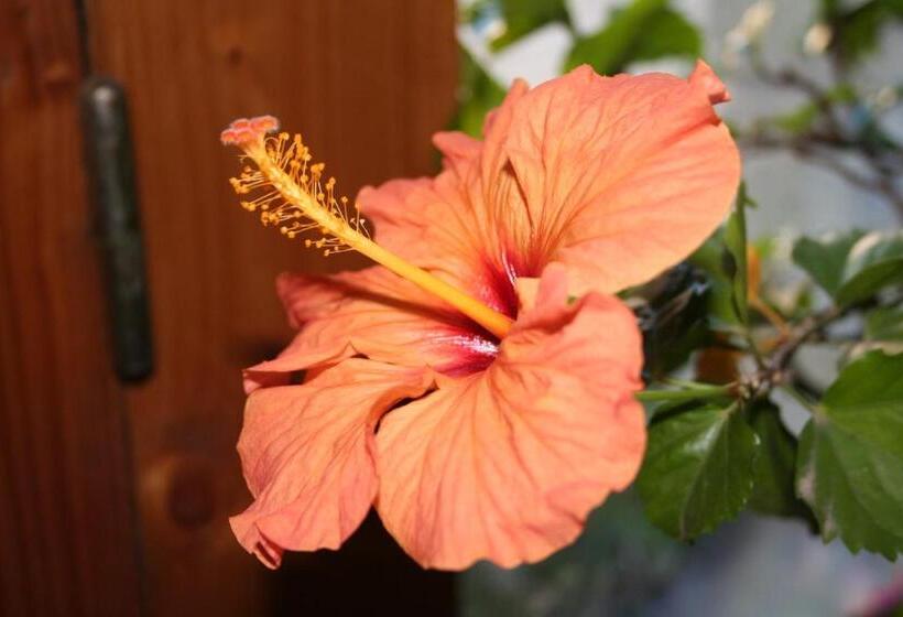 مبيت وإفطار Chambre D Hôtes L Etoile Du Berger