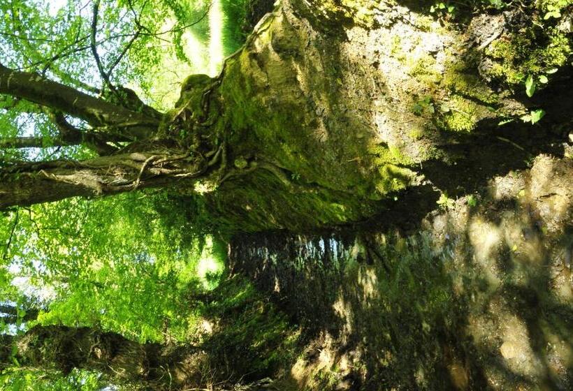 مبيت وإفطار Chambre D'hotes Au Vieux Moulin