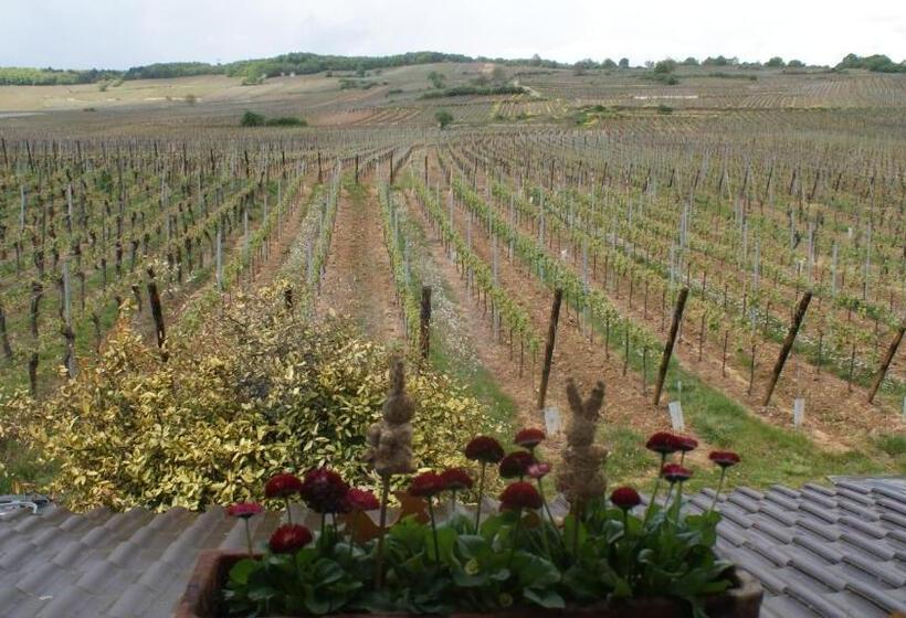 민박 Chambre D'hotes Le Vogelgarten