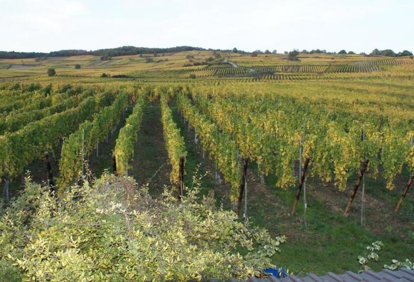 住宿加早餐  Chambre D'hotes Le Vogelgarten