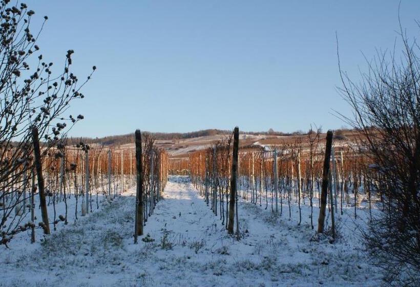 민박 Chambre D'hotes Le Vogelgarten