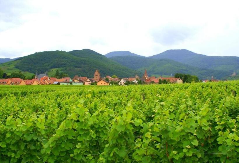 민박 Chambre D'hotes Le Vogelgarten