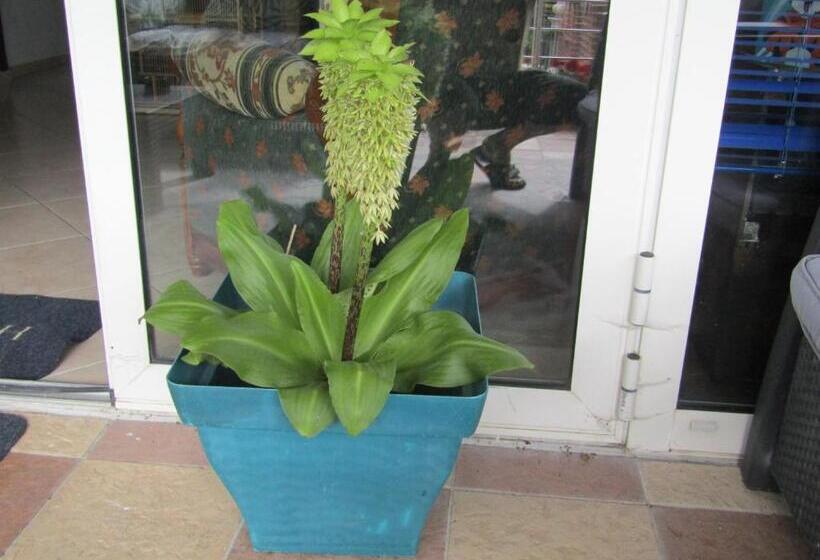 צימר Chambre D'hôtes Au Nid Du Thil