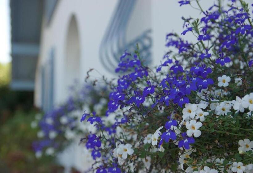 مبيت وإفطار Chambre D'hôtes Etchebri