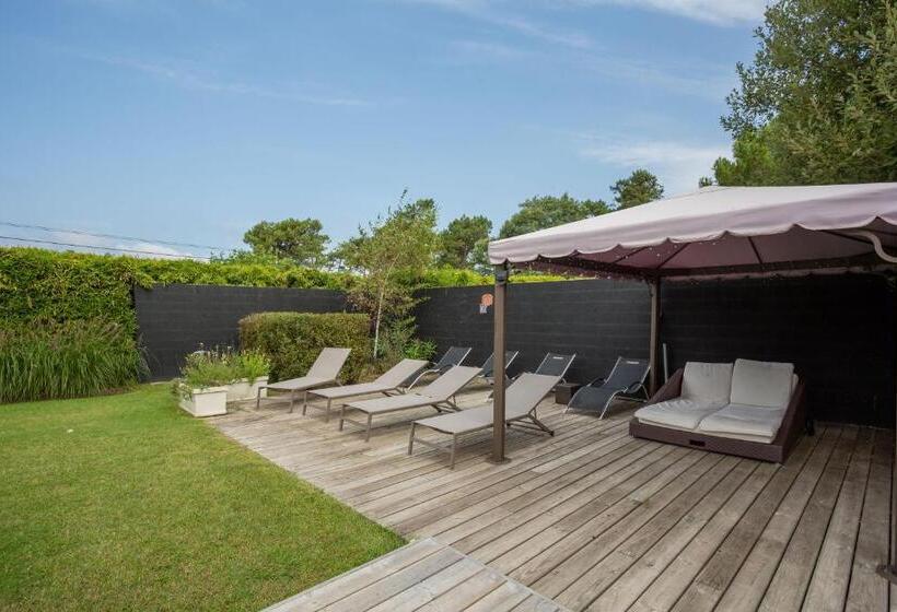 مبيت وإفطار Chambre D'hôtes Etchebri