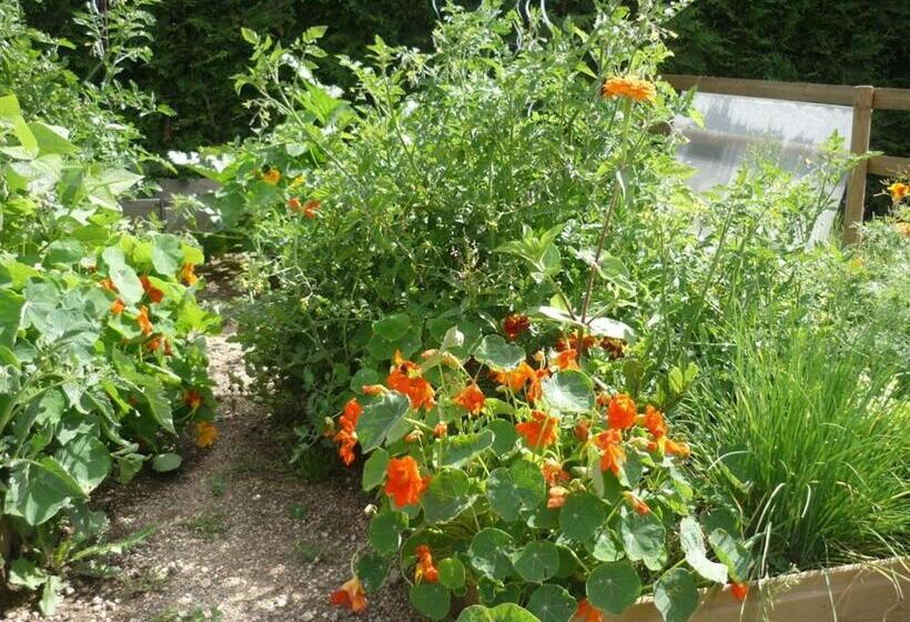 민박 Chambre Et Table D Hôtes Magaadjukalo