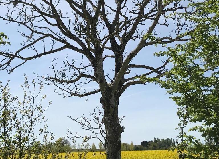 Bed and Breakfast Chambres D Hotes Bienvenue