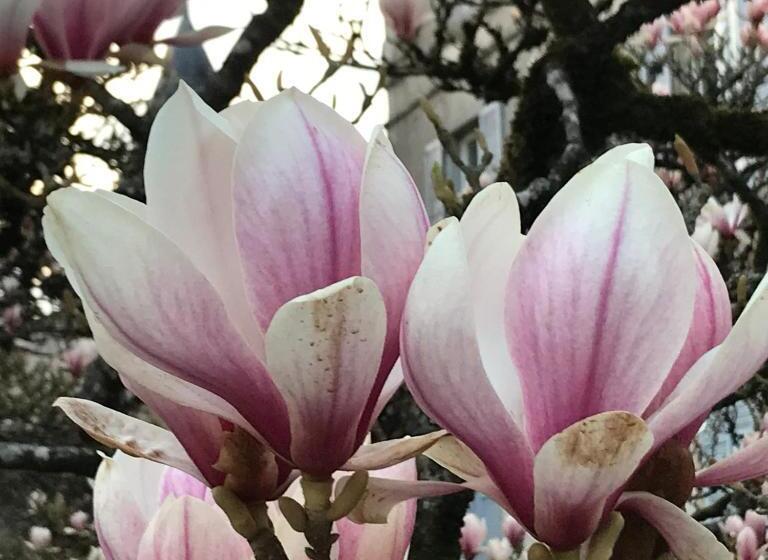 Bed and Breakfast Chambres D Hotes Bienvenue