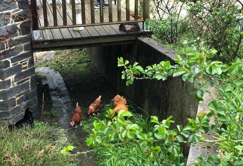 مبيت وإفطار Chambres D Hotes Manoir Kerhuella