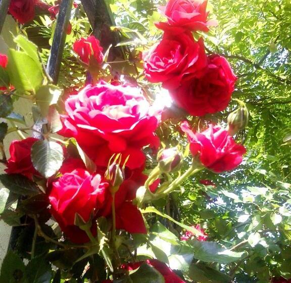 Bed and Breakfast Chambres D Hôtes Le Clos Du Murier