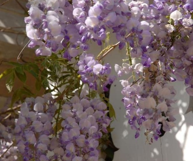 צימר Chambres D'hotes Château De La Puisaye