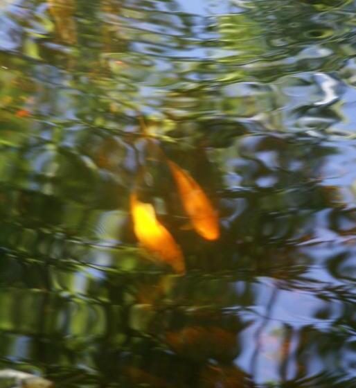 ベッドアンドブレックファースト Chambres D'hôtes Les Charmettes