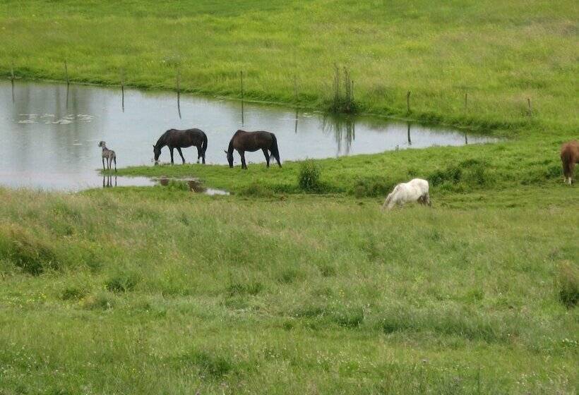 Bed and Breakfast Château De Flée