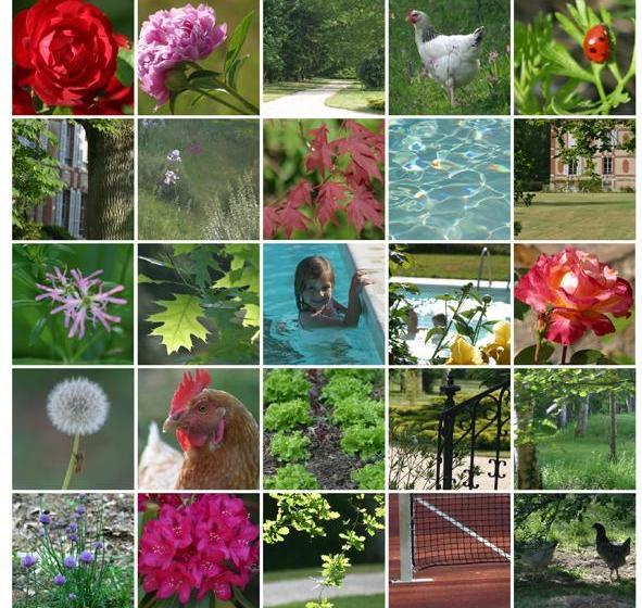 צימר Château Des Bouffards