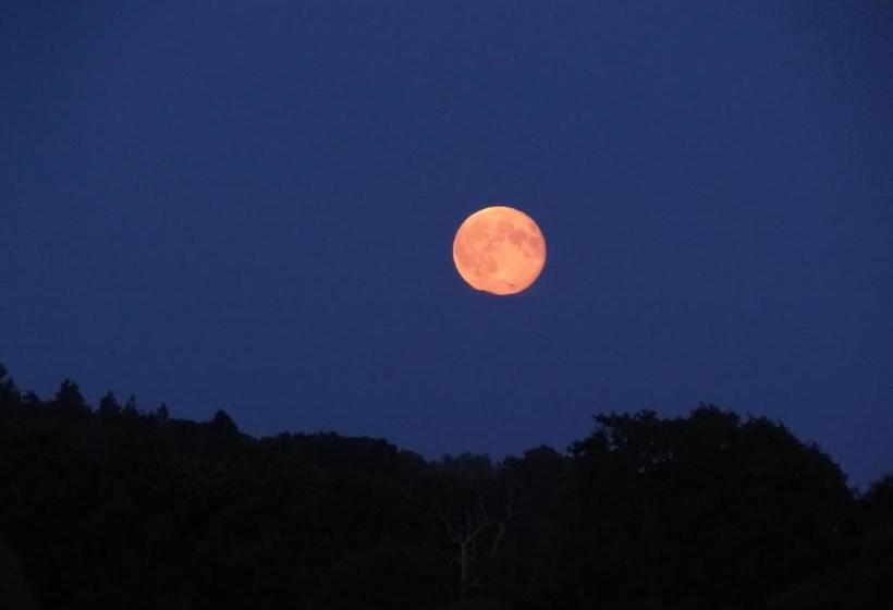 تختخواب و صبحانه Château Du Deffay