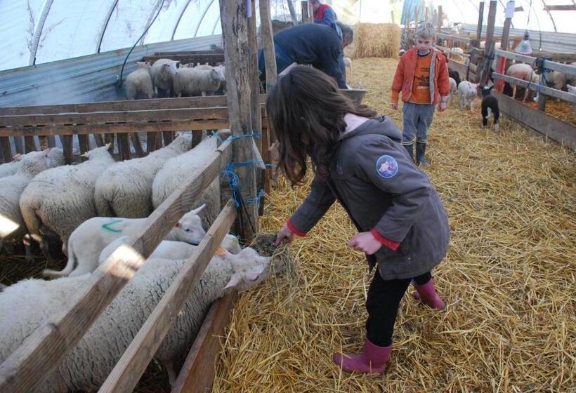 住宿加早餐  Domaine Bellelauze