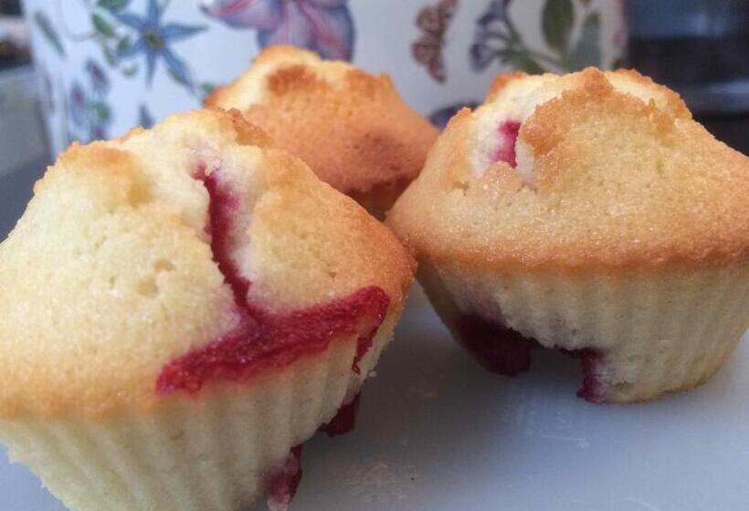 住宿加早餐  Domaine De Joreau