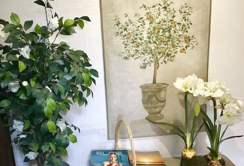 Bed and Breakfast Domaine De L'aufrene