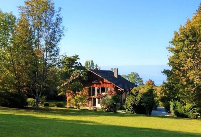 צימר Domaine De L'olifant