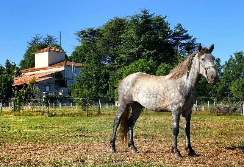 צימר Domaine De Majastre