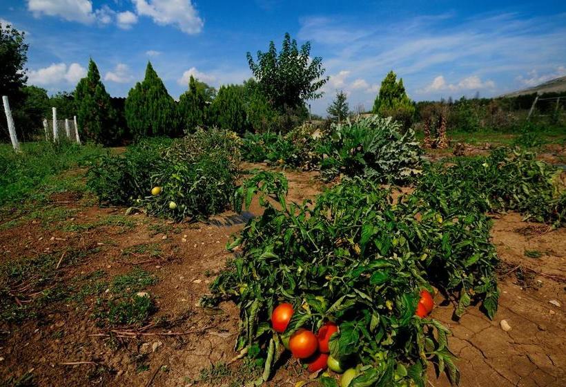 צימר Domaine De Majastre