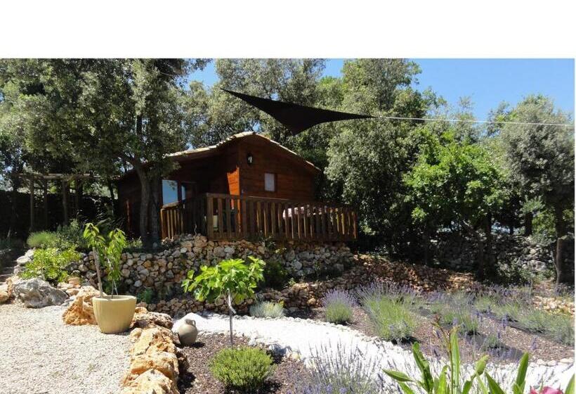 تختخواب و صبحانه Domaine De La Borie Yourhosthelper