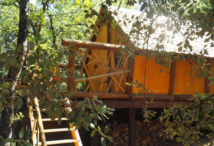 تختخواب و صبحانه Domaine De La Borie Yourhosthelper