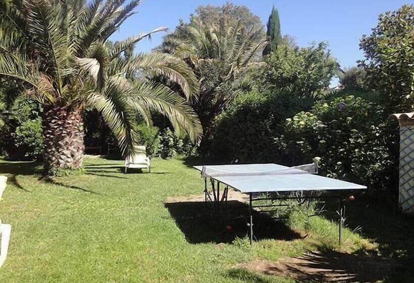 Bed and Breakfast L Amandari