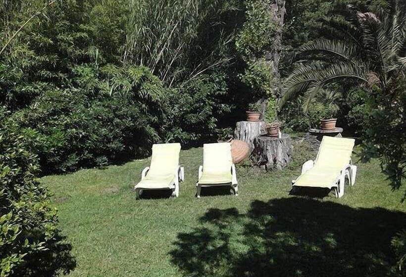 Bed and Breakfast L Amandari