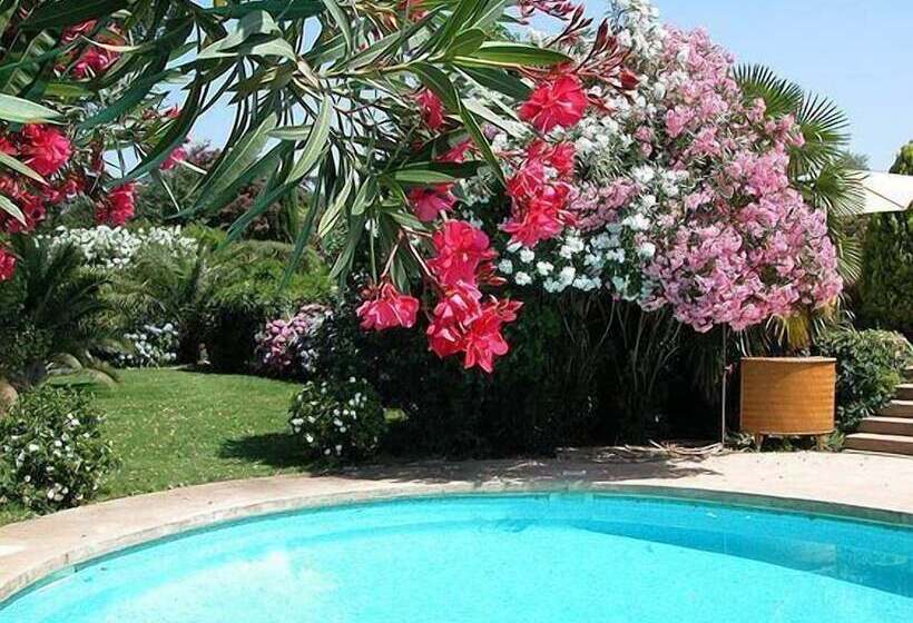 Bed and Breakfast L Amandari