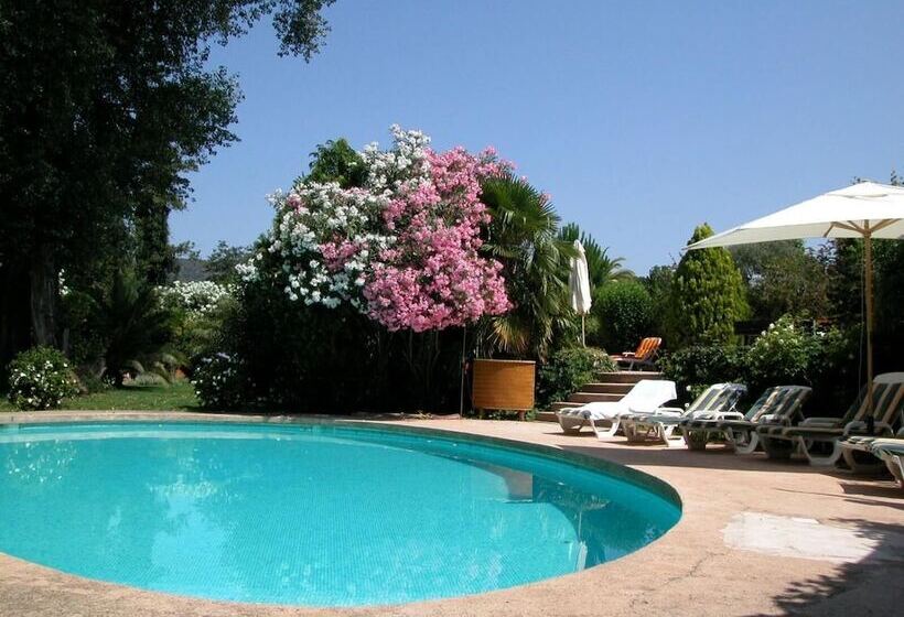 Bed and Breakfast L Amandari