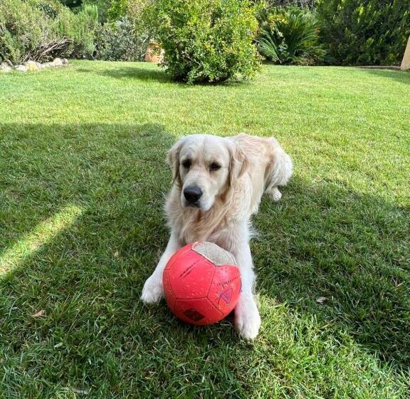 住宿加早餐  La Bergerie
