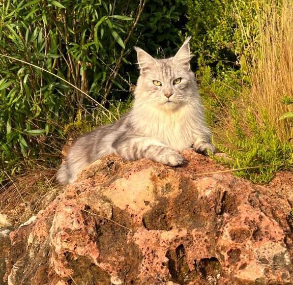 住宿加早餐  La Bergerie