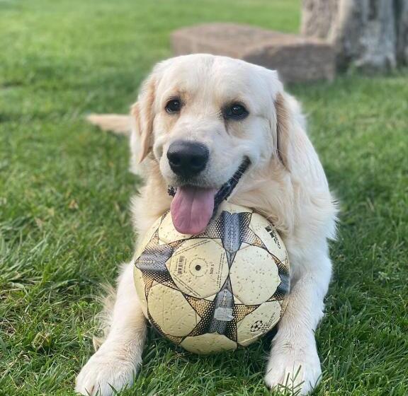 住宿加早餐  La Bergerie