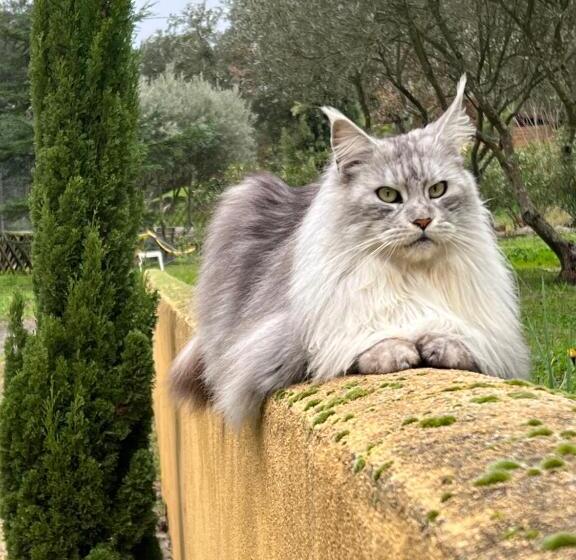 住宿加早餐  La Bergerie